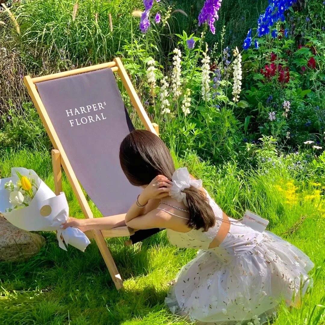 艾伦·德杰尼勒斯：感同身受