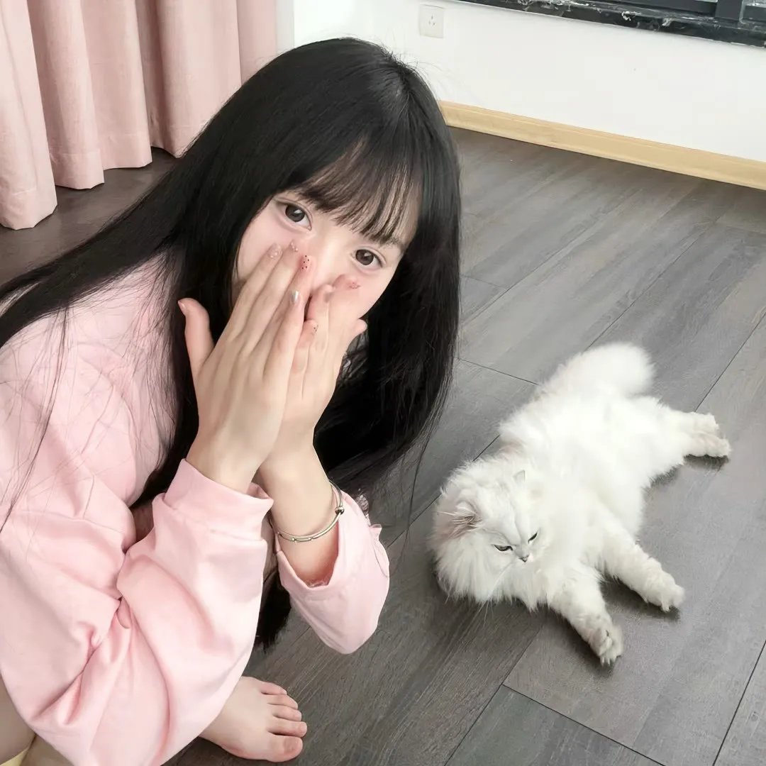 舰队Collection总有一天在那片海